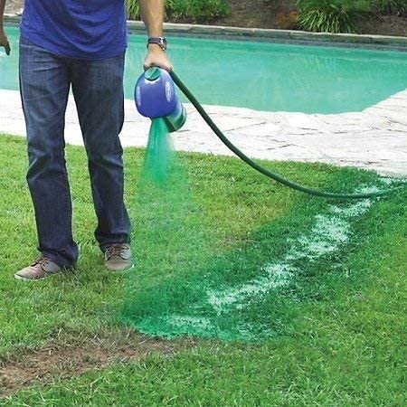 Liquid Grass Seed Spray with Fiber Mulch and Hose Attachment for Bare Lawn Patches
