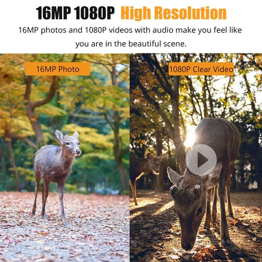 Trail Camera with 16MP Photo and 1080P Video, Infrared Night Vision