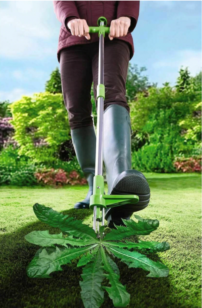 Standing Weed Puller with Three Pronged Grip and Spring Loaded Claws, 36 Inch