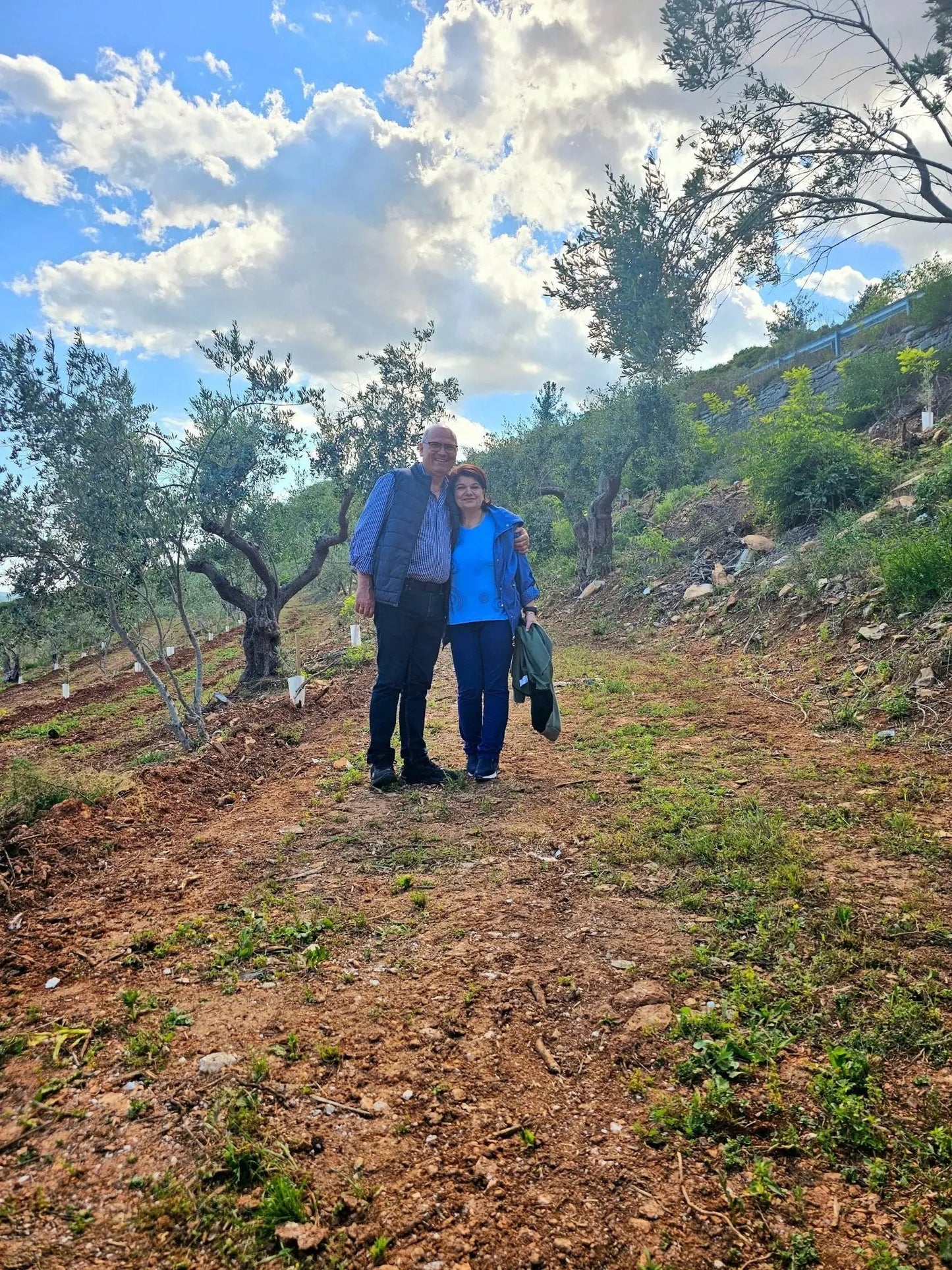 Adopt an Olive Tree: The Heritage Package (12 Months Subscription) - Nostos Goods