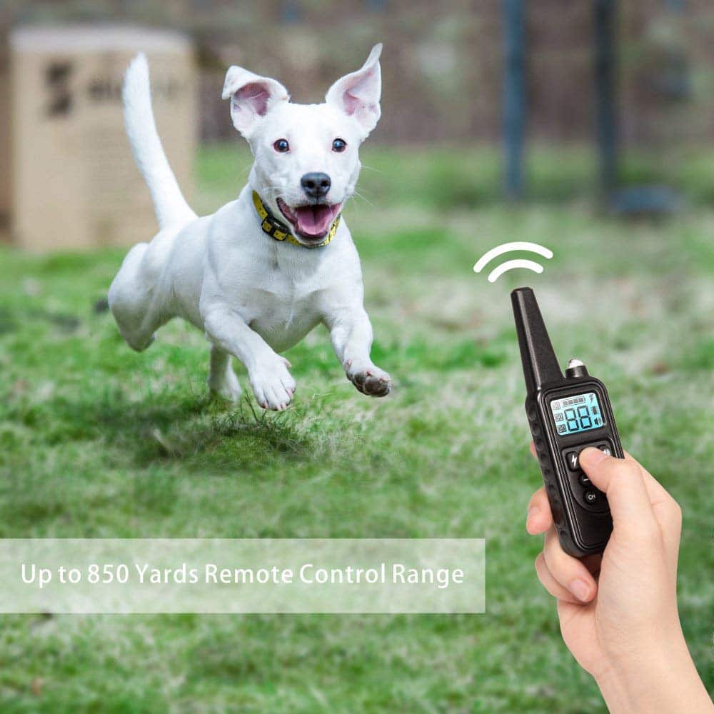 Dog Training Collar with 800 Meter Range and 99 Intensity Levels, LCD Display