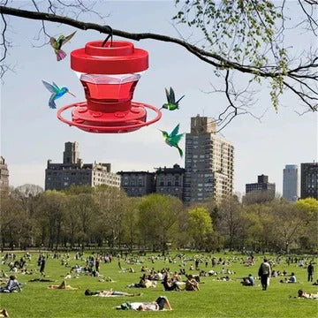 Hummingbird Feeder with Ant Moat and Eight Feeding Ports, 16oz Capacity