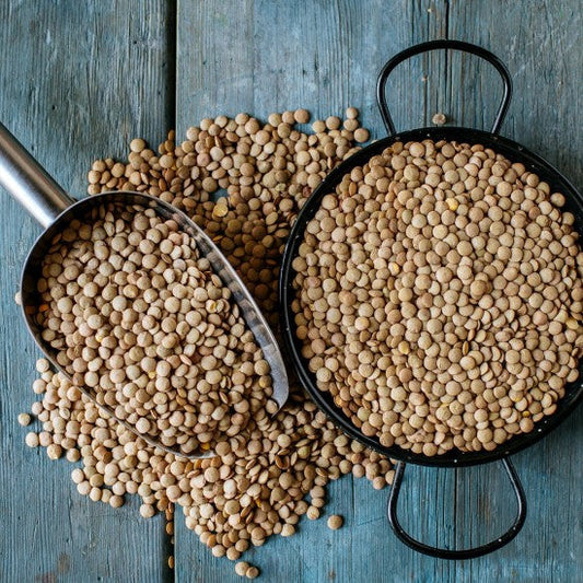 Traditional Greek lentil soup