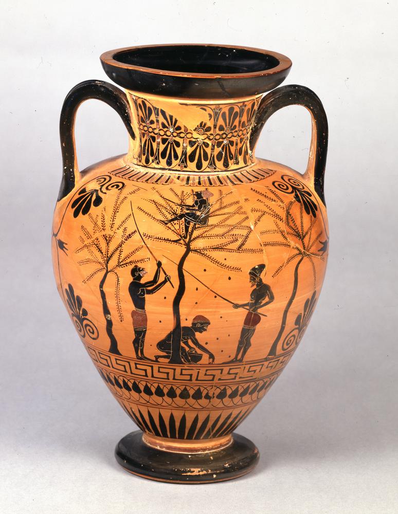 Liquid Gold: How Olive Oil Became Ancient Currency