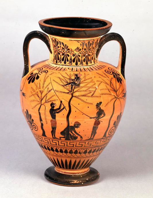 Liquid Gold: How Olive Oil Became Ancient Currency