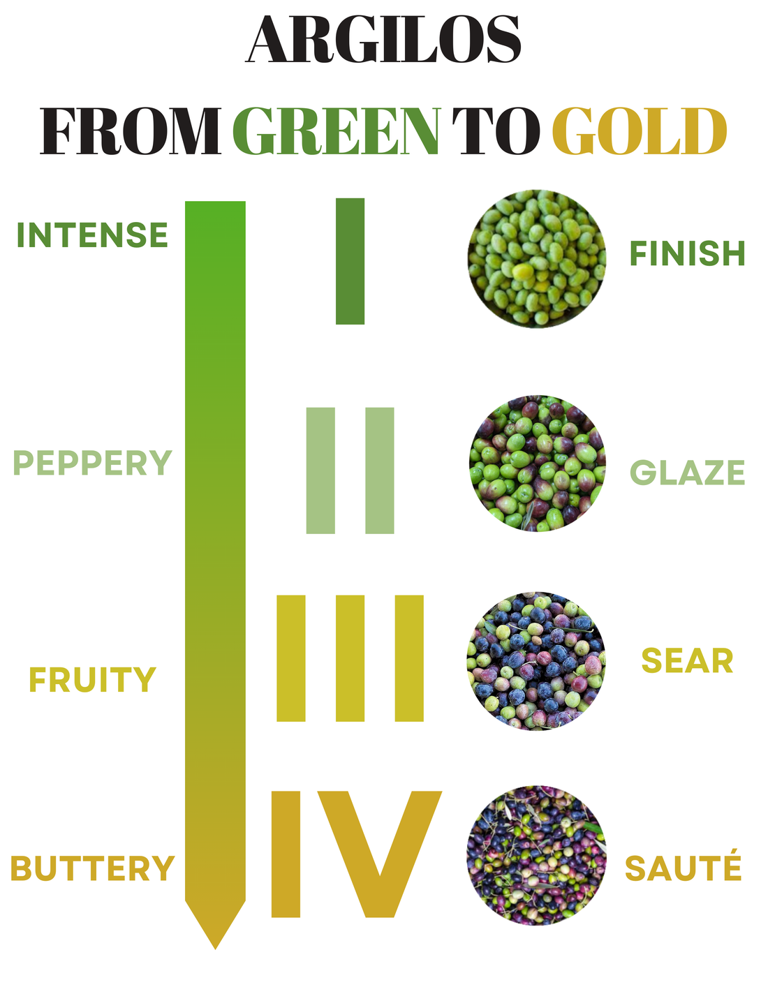 Argilos EVOO: From Green to Gold