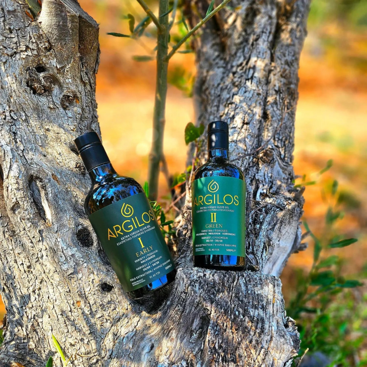 premium olive oil benefits