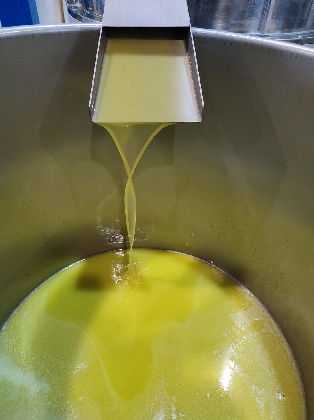 What Is Early Harvest Extra Virgin Olive Oil?