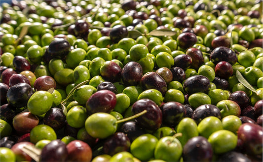 From Tree to Table: The Ultimate Guide to Extra Virgin Olive Oil