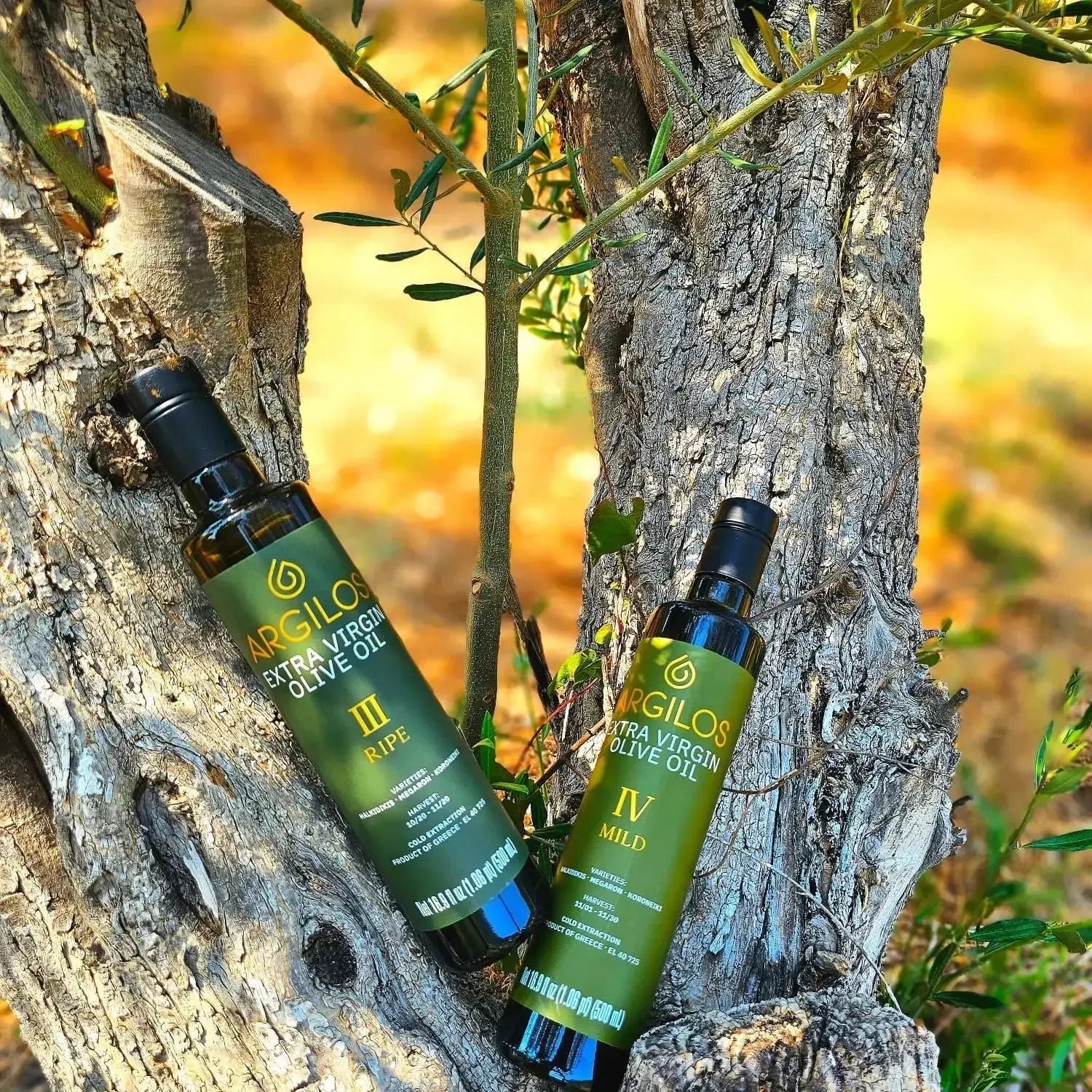 Give the Gift of Green: Eco-Friendly Ideas with Argilos Olive Oil