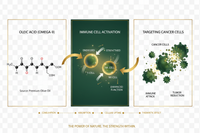 Study Links Oleic Acid to Stronger Immune Response in Cancer Patients