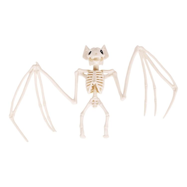 Skeleton Bat Decoration with Spread Wings and Detailed Bone Frame