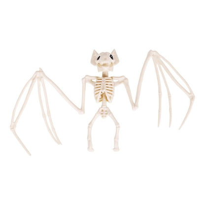 Skeleton Bat Decoration with Spread Wings and Detailed Bone Frame
