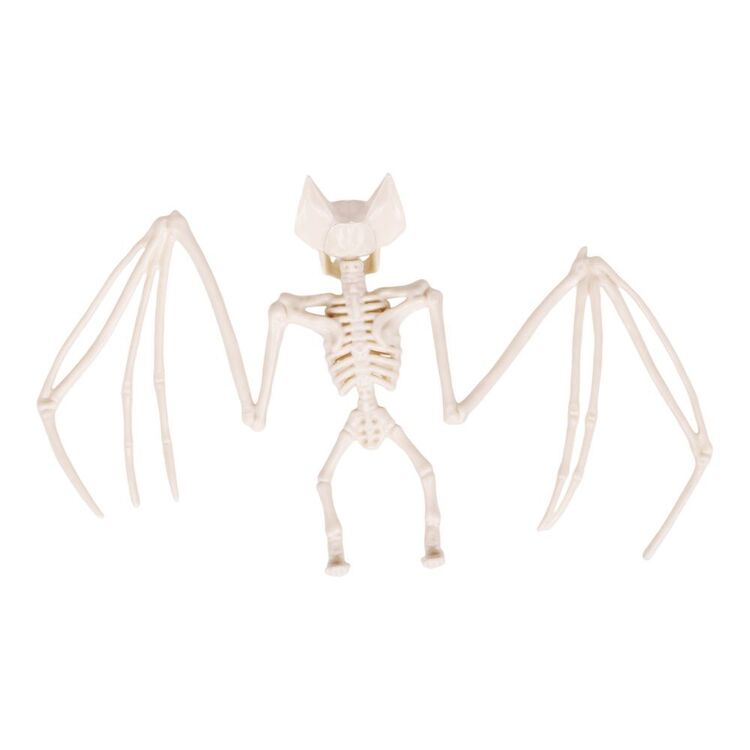 Skeleton Bat Decoration with Spread Wings and Detailed Bone Frame