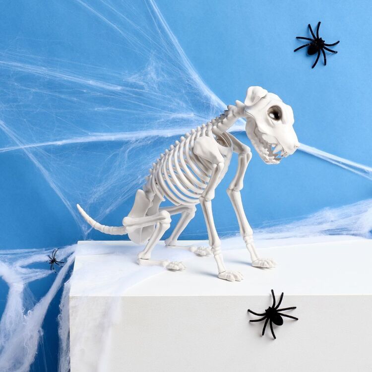Skeleton Dog Decoration with Seated Pose and Bone Finish, 12.6 Inch Halloween Accent