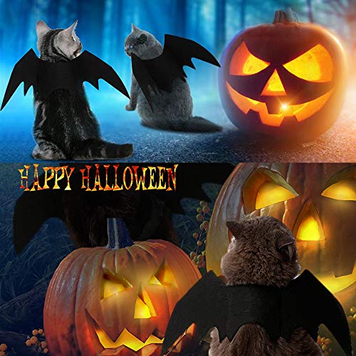 Felt Bat Wings for Cats and Small Dogs with Adjustable Bands
