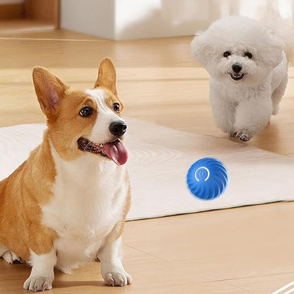 Automatic Rolling Dog Toy with Obstacle Sensor and 60-Minute Battery, Rechargeable All Vera Mart