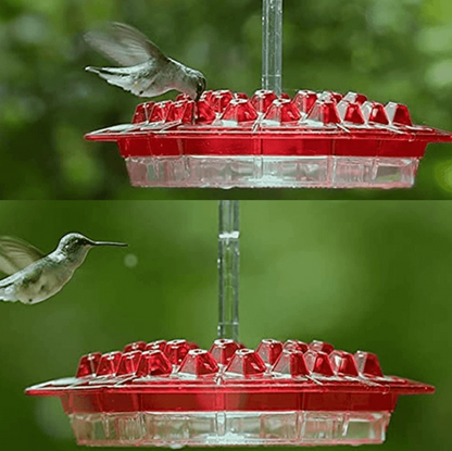 Hummingbird Feeder with Raised Diamond Ports and Ant Guard, 12oz Capacity