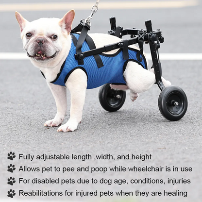 Adjustable Pet Wheelchair with Hind Leg Support and Wheels for Dogs and Cats