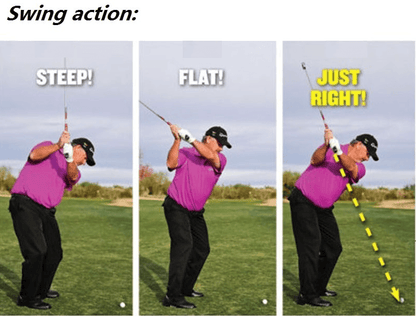 Golf Club Laser Alignment Tool with Swing Path Projection and Grip Clip All Vera Mart
