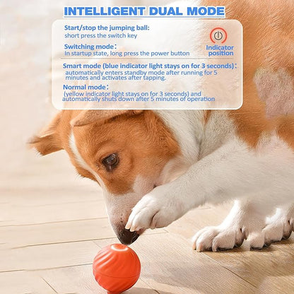 Automatic Rolling Dog Toy with Obstacle Sensor and 60-Minute Battery, Rechargeable All Vera Mart