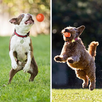 Automatic Rolling Dog Toy with Obstacle Sensor and 60-Minute Battery, Rechargeable All Vera Mart