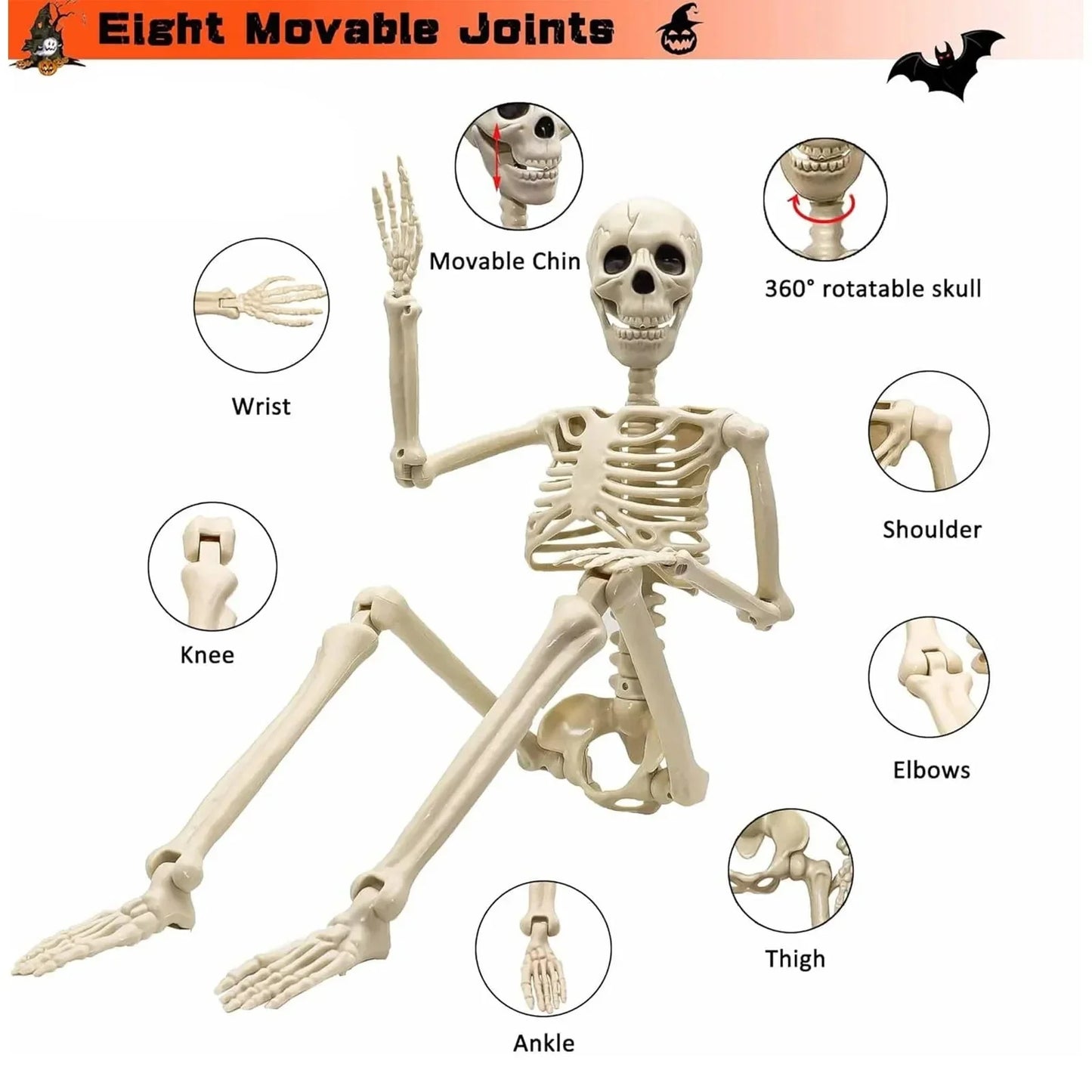 Poseable Skeleton Decoration with 12 Movable Joints and Molded Bone Detail