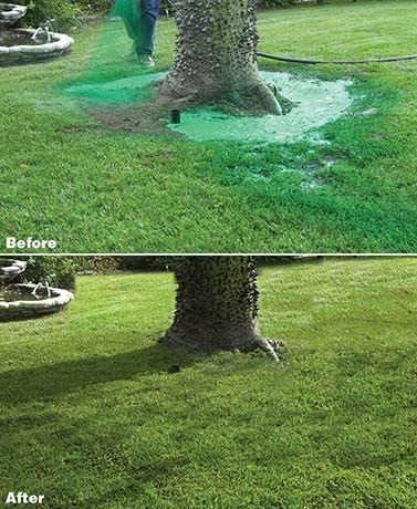 Liquid Grass Seed Spray with Fiber Mulch and Hose Attachment for Bare Lawn Patches