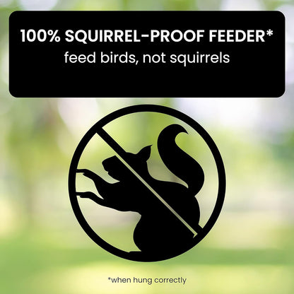 Hanging Bird Feeder with Weight Activated Spinning Perch and Metal Construction