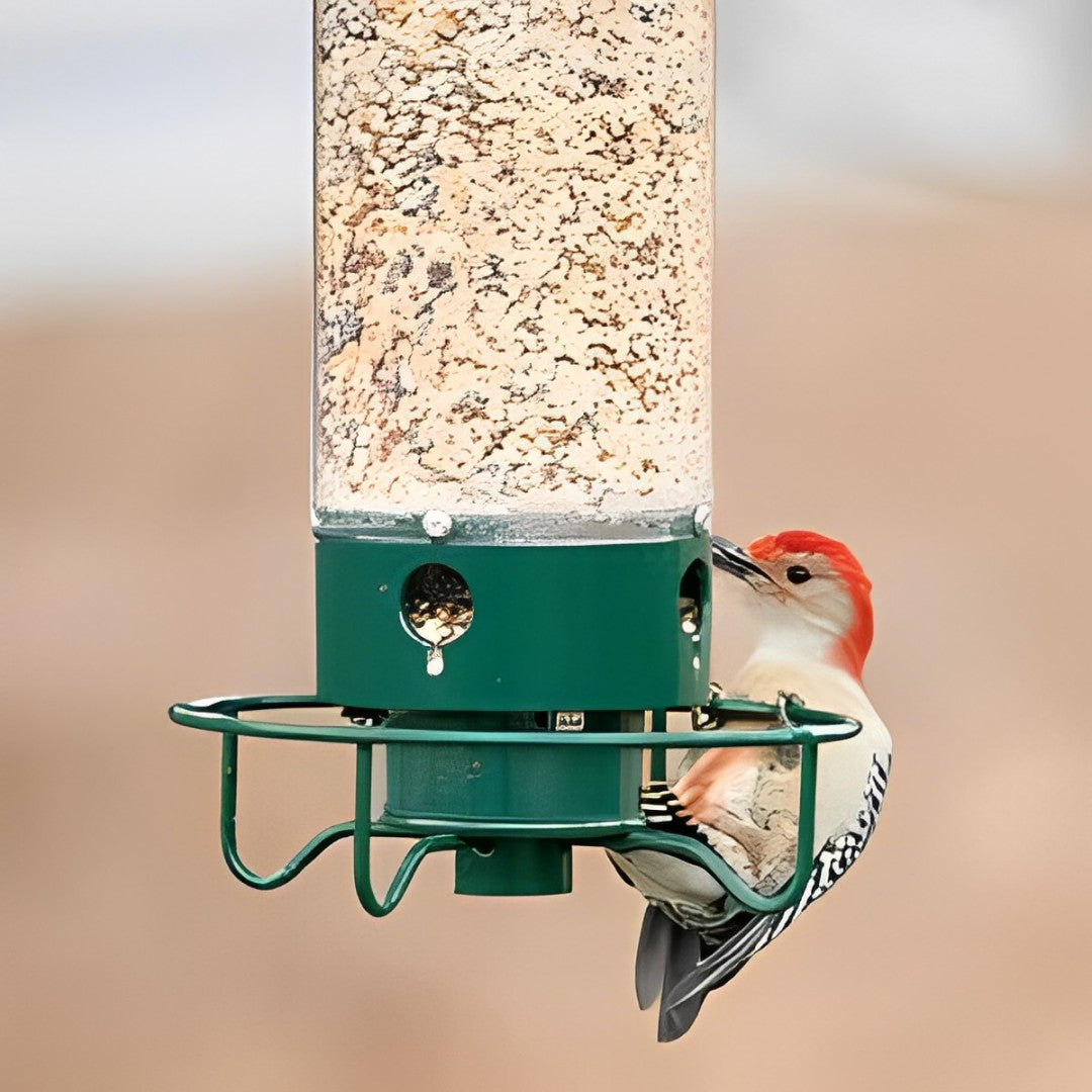 Hanging Bird Feeder with Weight Activated Spinning Perch and Metal Construction