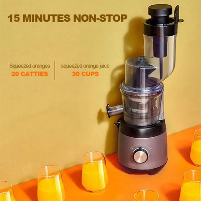 Automatic Juicer with 90mm Wide Chute and Built-In Filter Screen