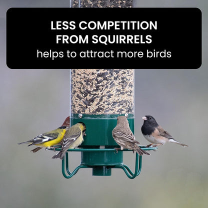 Hanging Bird Feeder with Weight Activated Spinning Perch and Metal Construction