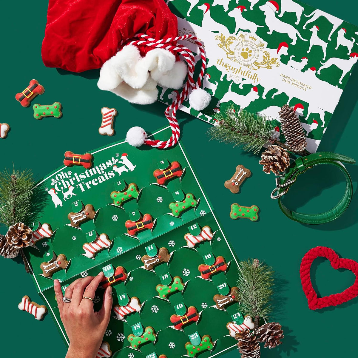 Dog Treat Advent Calendar with 24 Gingerbread Biscuits, Hand Decorated Bone Shapes