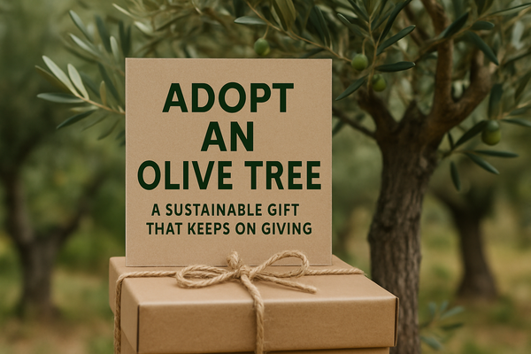 Adopt an Olive Tree: A Sustainable Gift That Keeps on Giving - 5695