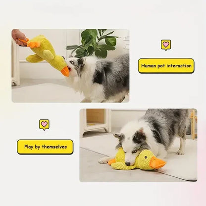 Plush Quacking Duck Dog Toy with Reinforced Seams and Low-Frequency Sound, Machine Washable