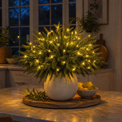 Light Up Norfolk Pine Branch with Warm Golden Twinkles Battery Powered in Classic Red Berry Or Frosted