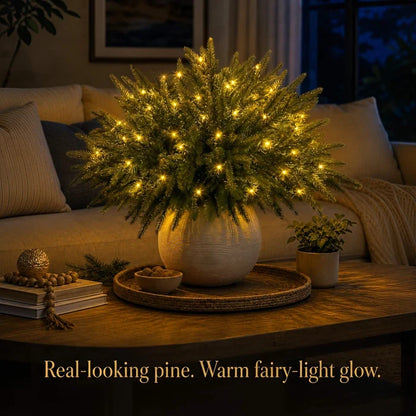 Light Up Norfolk Pine Branch with Warm Golden Twinkles Battery Powered in Classic Red Berry Or Frosted