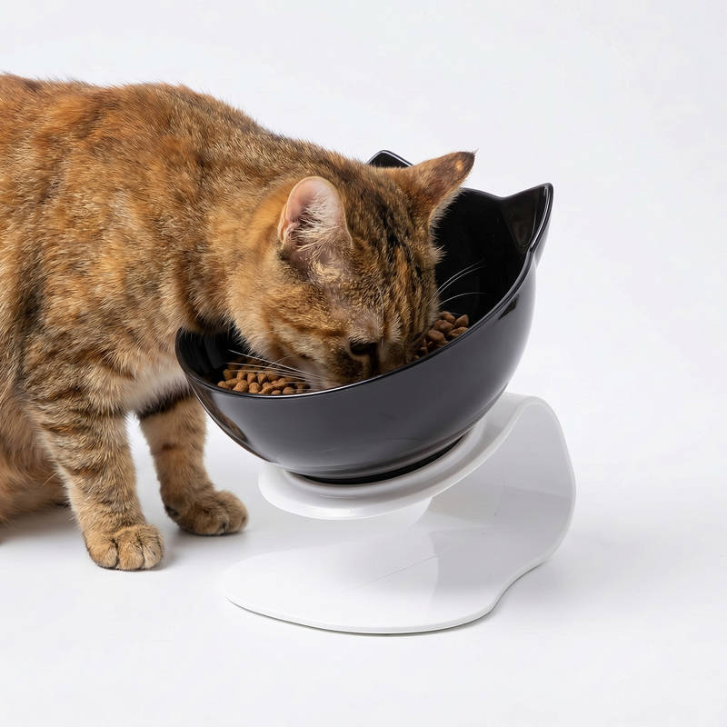 Elevated Cat Bowl with 15 Degree Tilt and Dual Transparent Dishes, Anti Slip Base