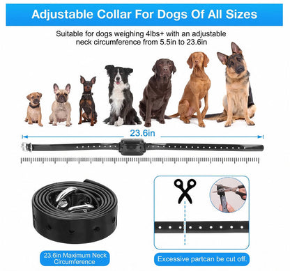 Wireless Dog Training Collar with Remote Boundary Control and Static Correction, 656ft Range