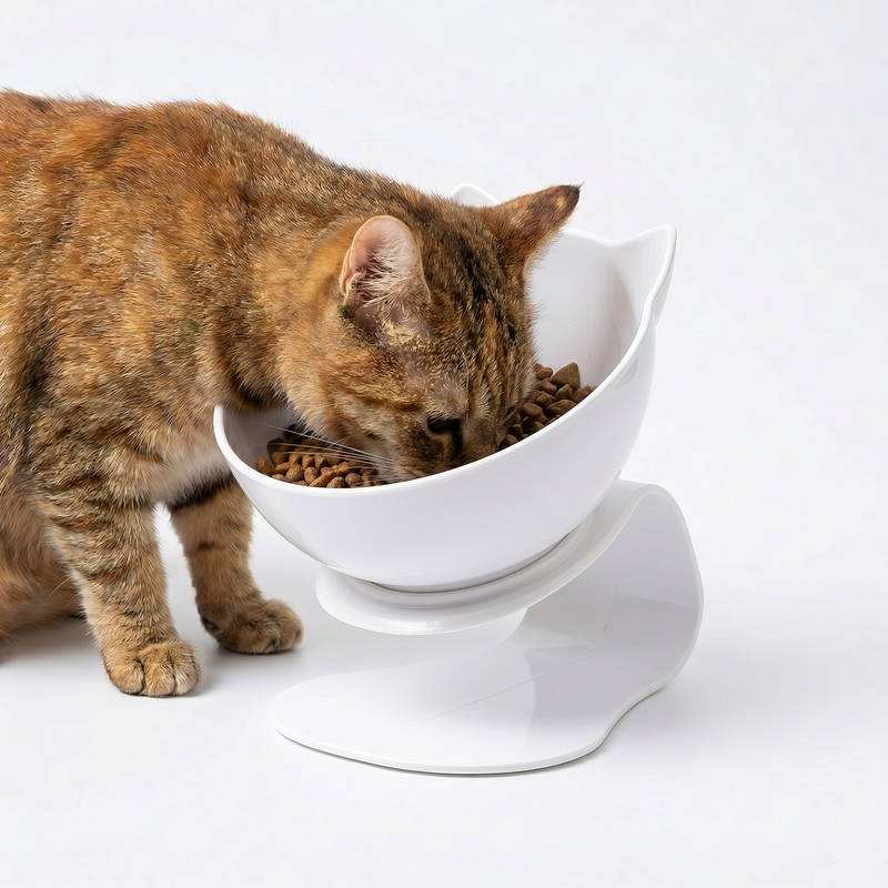 Elevated Cat Bowl with 15 Degree Tilt and Dual Transparent Dishes, Anti Slip Base