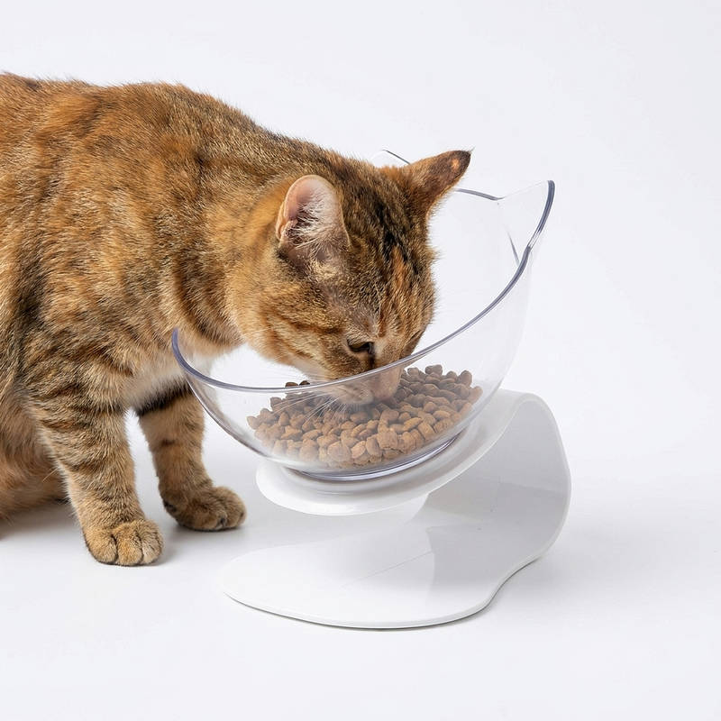 Elevated Cat Bowl with 15 Degree Tilt and Dual Transparent Dishes, Anti Slip Base