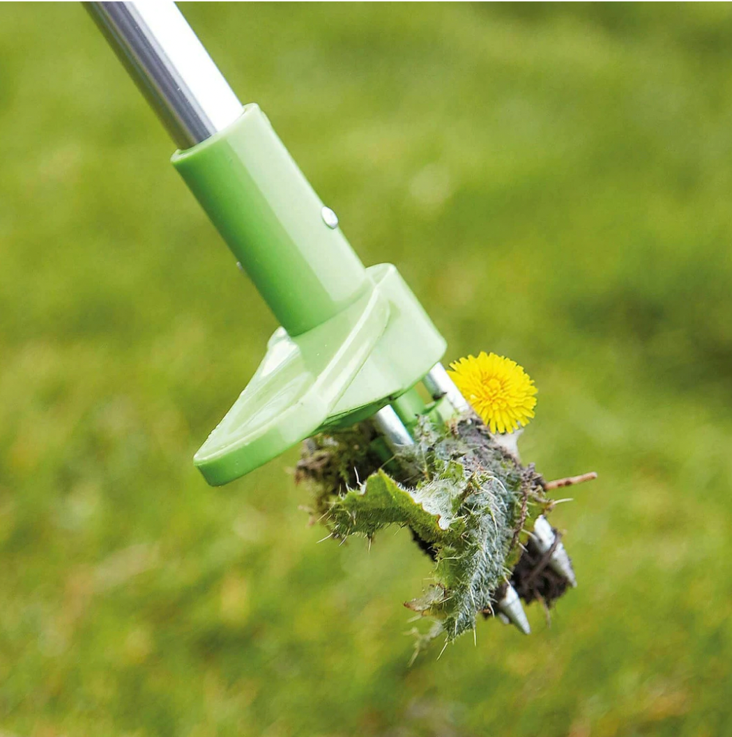 Standing Weed Puller with Three Pronged Grip and Spring Loaded Claws, 36 Inch