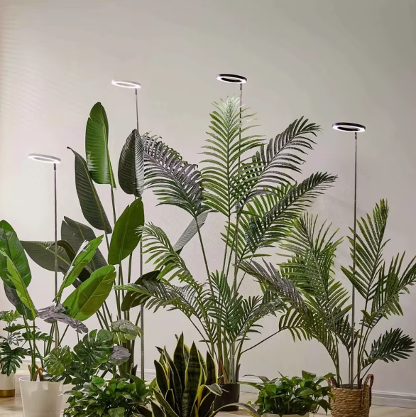 Full Spectrum LED Grow Light with Adjustable Height and Nine Brightness Settings