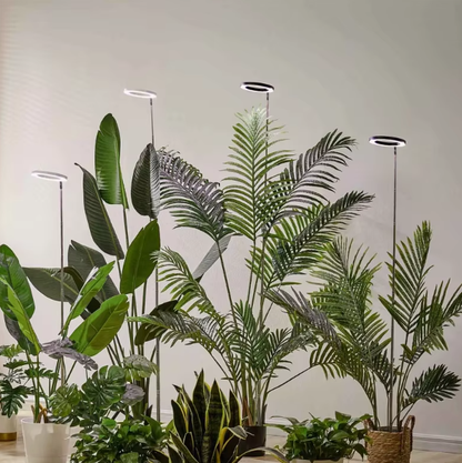 Full Spectrum LED Grow Light with Adjustable Height and Nine Brightness Settings