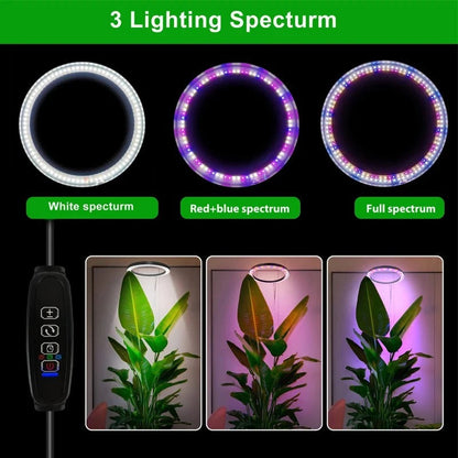Full Spectrum LED Grow Light with Adjustable Height and Nine Brightness Settings