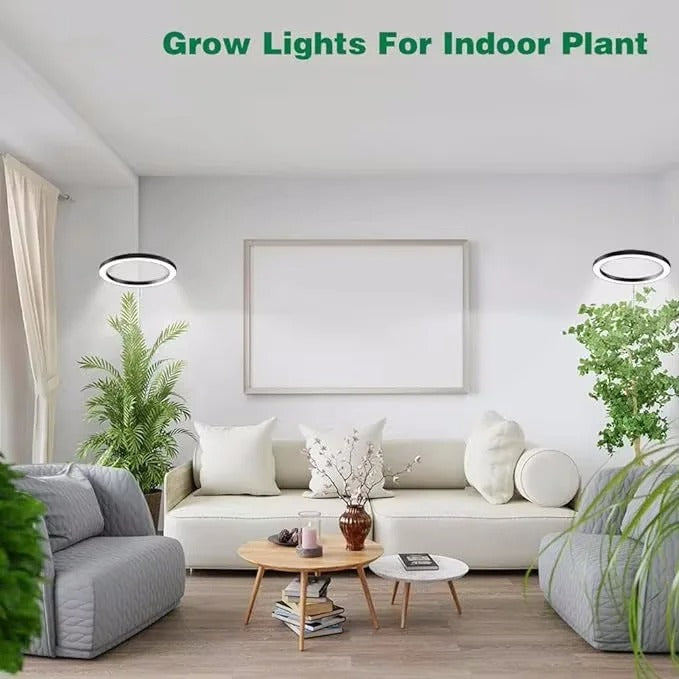 Full Spectrum LED Grow Light with Adjustable Height and Nine Brightness Settings