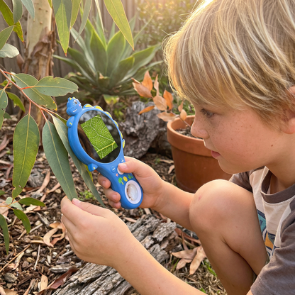 Handheld Video Microscope for Kids with 500X Magnification and Built-In Screen