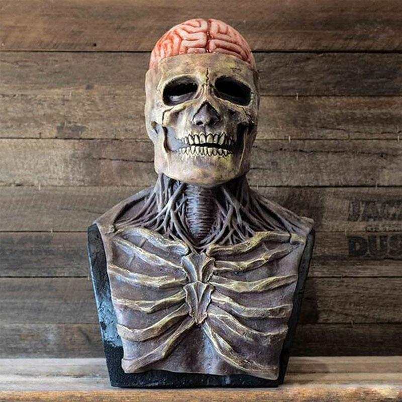 Full Head Skeleton Mask with Exposed Brain Detail and Molded Features