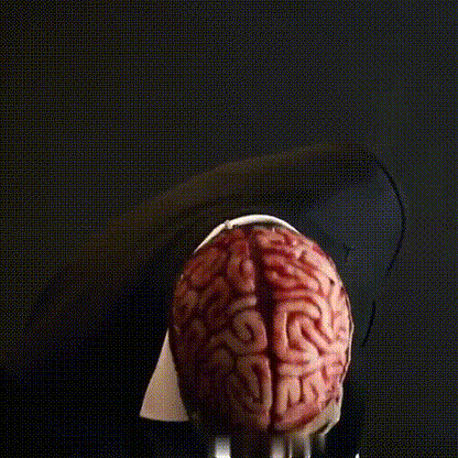 Full Head Skeleton Mask with Exposed Brain Detail and Molded Features