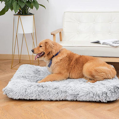 Cushioned Pet Bed Mat with Removable Insert and Adjustable Firmness, Five Sizes